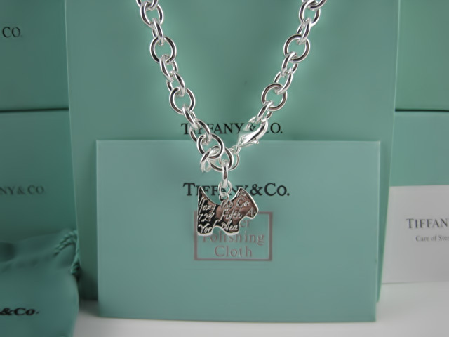 Tiffany&Co Necklaces 130